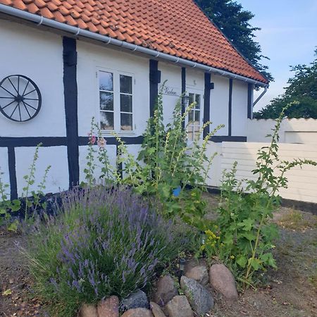 Appartamento Violen Åkirkeby Esterno foto