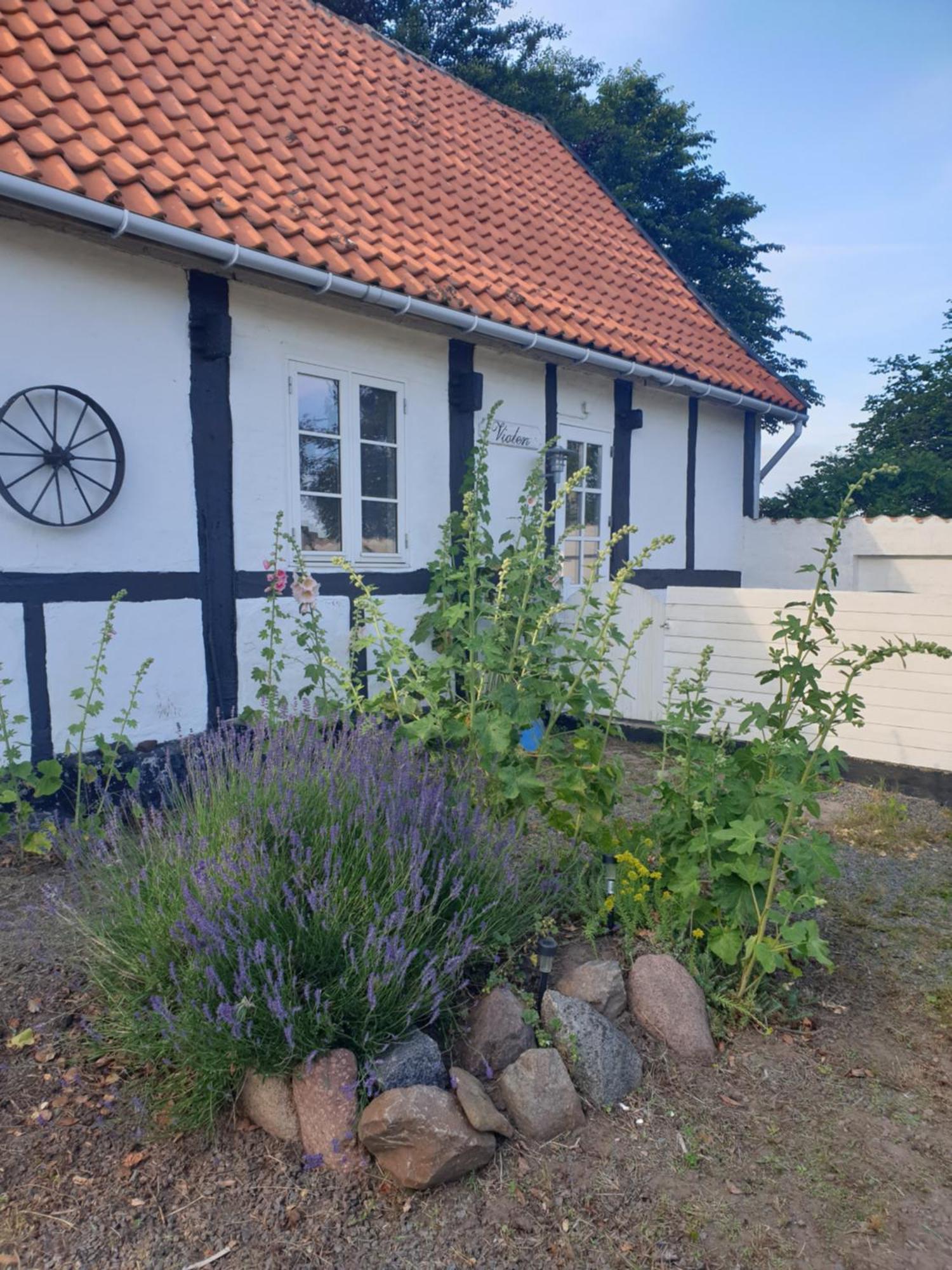 Appartamento Violen Åkirkeby Esterno foto